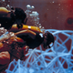 Illustration for article titled These Astronauts Designed Experiments for Space by Swimming Underwater